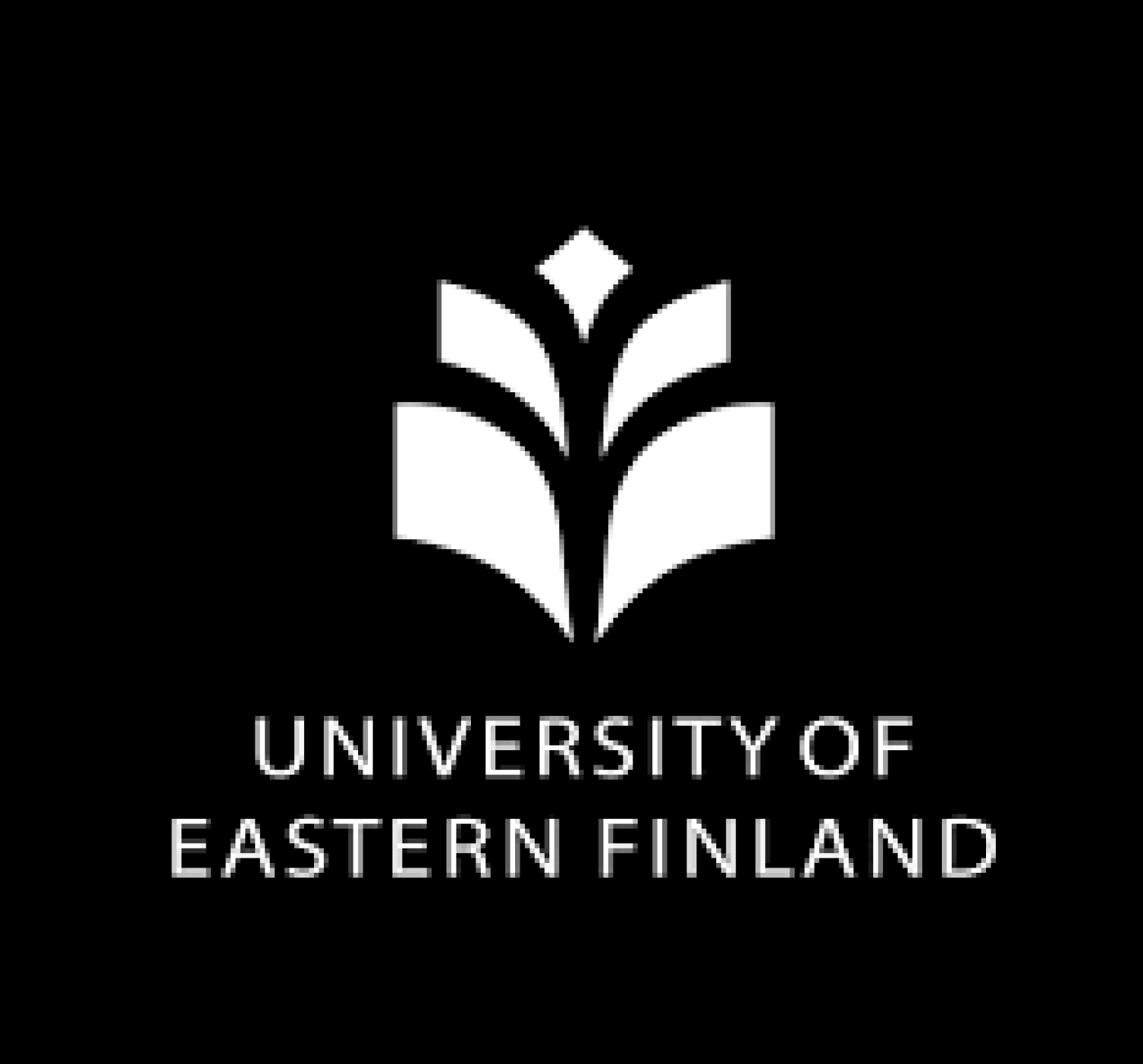 University of Eastern Finland (UEF)