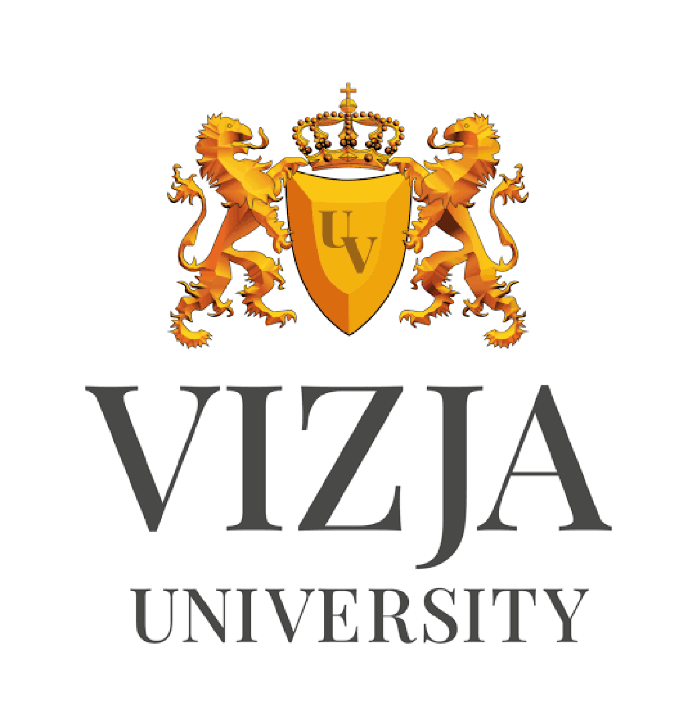 VIZJA University